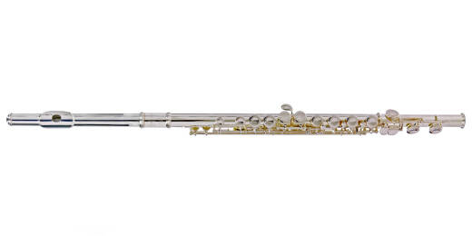 Carlton - Silver Plated Flute Outfit