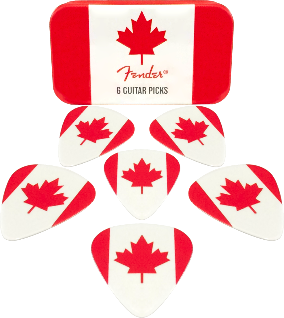 Canada Picks with Tin - Medium (Set of 6)