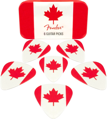 Canada Picks with Tin - Medium (Set of 6)