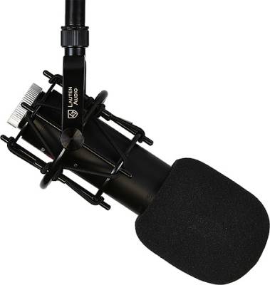 LS-208 Front Address Large Diaphragm Vocal & Instrument Microphone