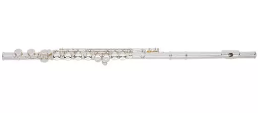 Closed Hole Student Model Flute