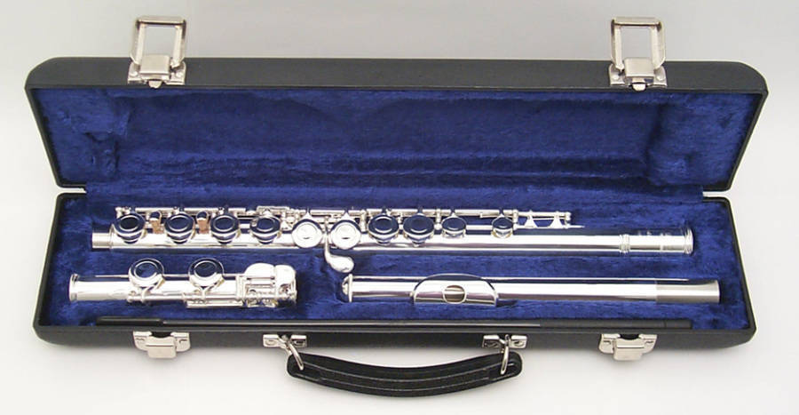 Alpine Student Model Closed Hole Flute | Long & McQuade