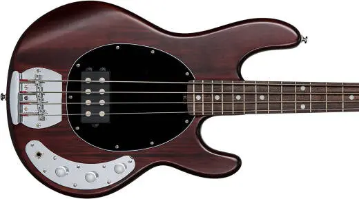 Ray4 Stingray Bass - Walnut Satin