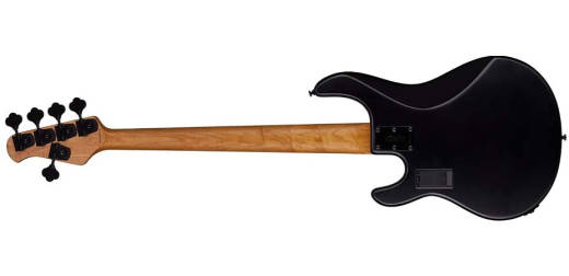 StingRay Ray35HH 5-String Bass - Stealth Black