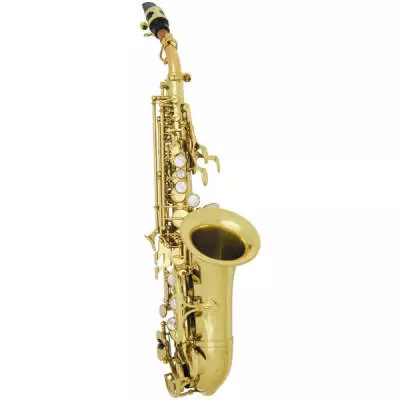 Soprano Sax (Curved)