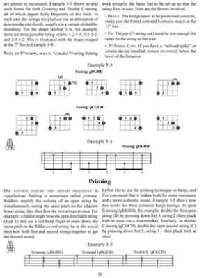 Appalachian Fiddle Tunes for Clawhammer Banjo - Perlman - Book/Audio Online
