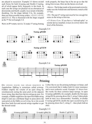 Appalachian Fiddle Tunes for Clawhammer Banjo - Perlman - Book/Audio Online