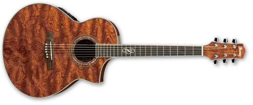 Ibanez Acoustic Exotic Bubinga Cutaway w/ Electronics