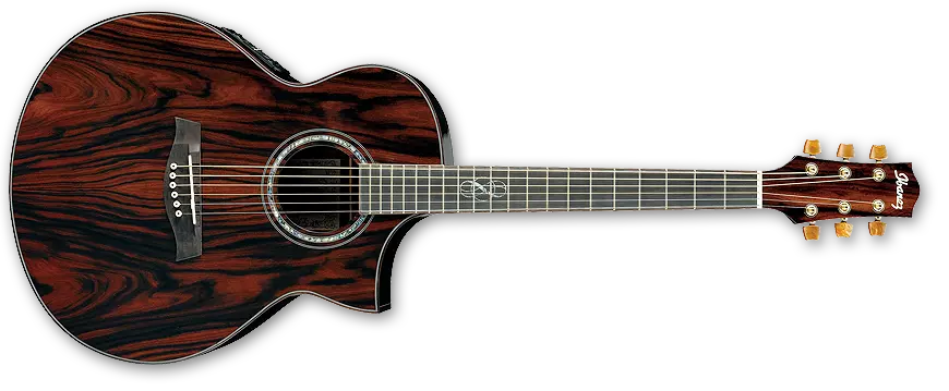 Ibanez Acoustic Exotic Cocobolo Cutaway w/ Electronics