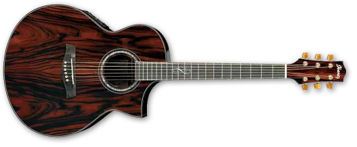 Ibanez Acoustic Exotic Cocobolo Cutaway w/ Electronics