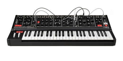Matriarch Dark 4-Note Paraphonic Analog Synthesizer