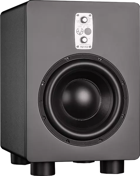 TS110 ThunderStorm 10\'\' 250W Active Subwoofer