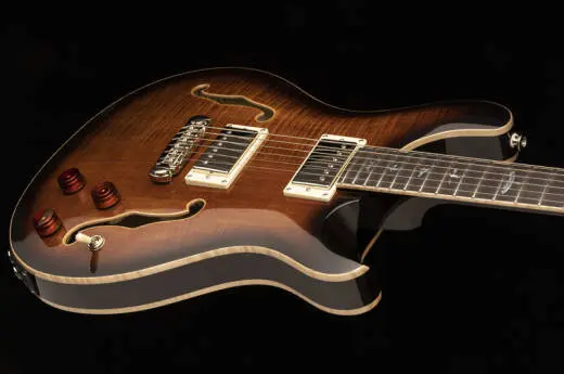 SE Hollowbody II Piezo with Case - Black Gold Burst
