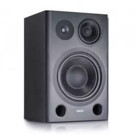 Professional Studio Monitor (Right)
