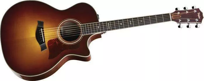 Rosewood/Cedar Acoustic/Electric Guitar - Cutaway