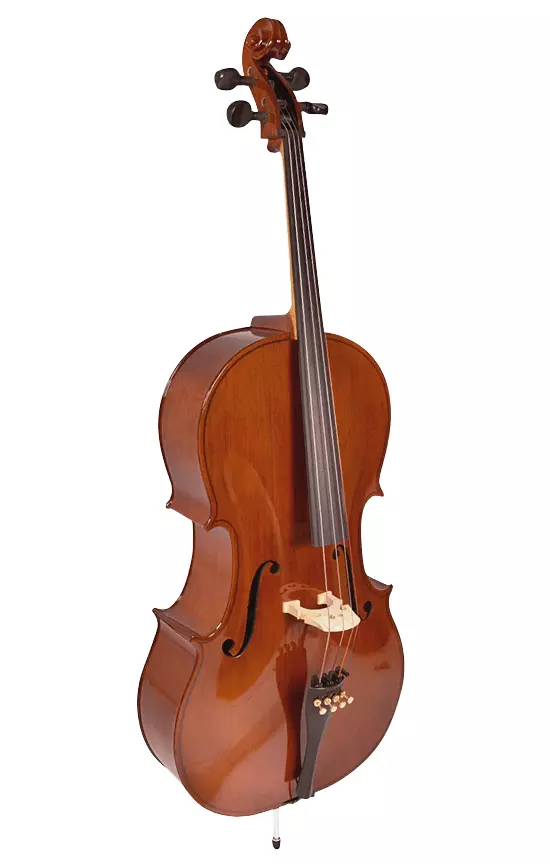 Student Cello Outfit 4/4