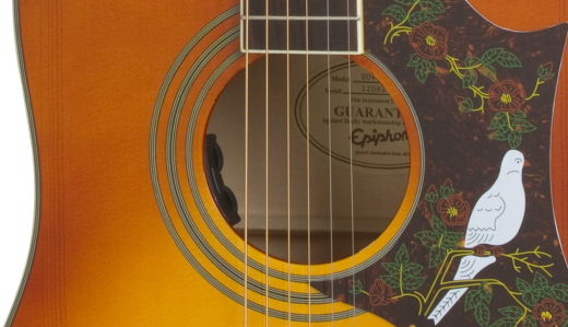 Dove Studio Acoustic Electric - Violin Burst