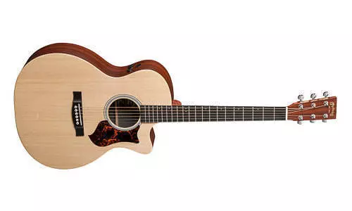 Performing Artist GP Spuce/Mahognay Acoustic/Electric Guitar