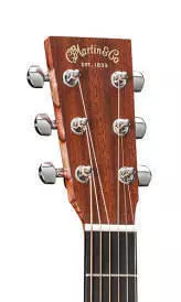 Performing Artist GP Spuce/Mahognay Acoustic/Electric Guitar