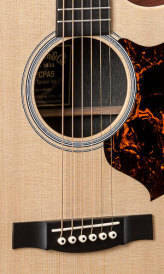 Performing Artist GP Spuce/Mahognay Acoustic/Electric Guitar