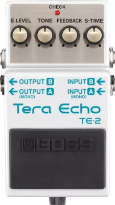 Tera Echo Pedal