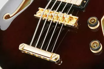 Artcore Hollow Body Electric 5 String Bass - Dark Violin