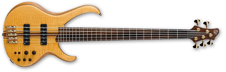BTB 5 String Premium Bass - Vintage Natural