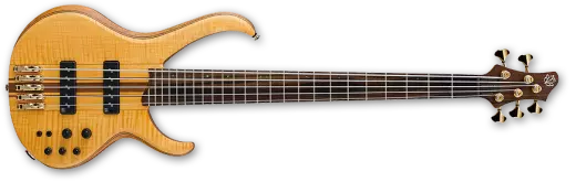 BTB 5 String Premium Bass - Vintage Natural