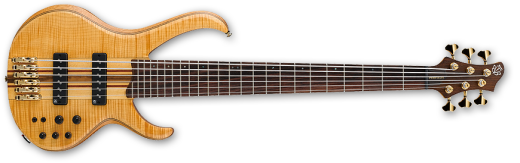 BTB 6 String Premium Bass - Vintage Natural