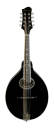 Eastman Guitars - A Style Spruce/Maple Mandolin w/Case - Black