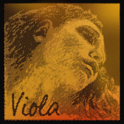 Evah Pirazzi Gold Viola Single C String - 4/4 - Synthetic/Tungsten-Silver