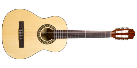 601 Series 3/4 Size Classical Acoustic