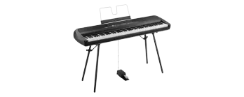 Digital Piano w/Speakers & Stand