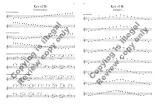 Scales and Arpeggios with Shifting Practice - Moyer - Violin - Book