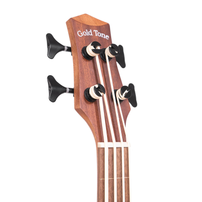 Micro Bass 25\'\' Scale Fretless Cutaway Electric-Acoustic Bass w/Gigbag