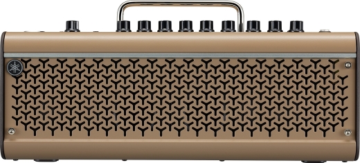 THR-30IIA Acoustic Amplifier