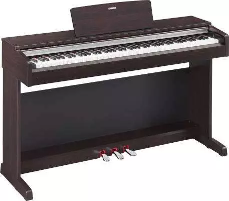 Arius Digital Piano w/Bench