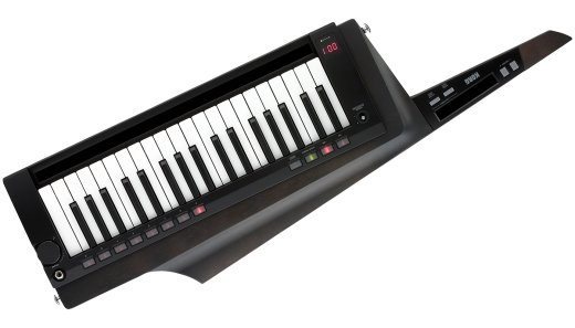RK-100S 2 37-Key Keytar - Black