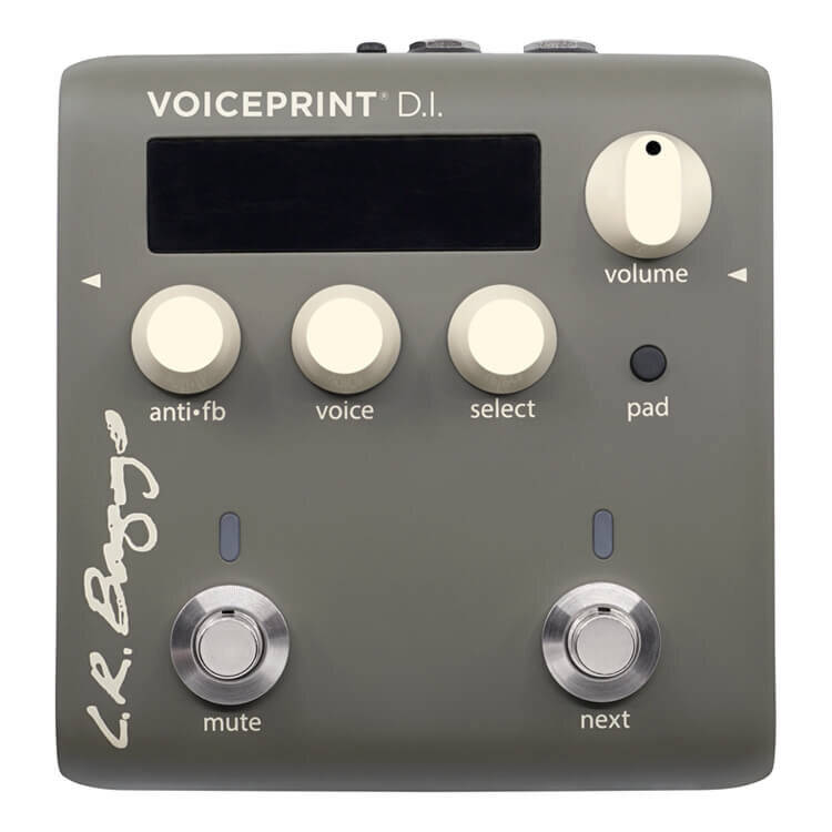 Voiceprint DI Acoustic Guitar Impulse Response Pedal