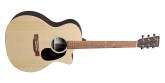 Martin Guitars - GPC-X2E Sitka Spruce/Rosewood HPL Guitar w/Gig Bag