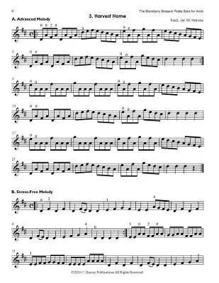 The Blackberry Blossom Fiddle Book - Harvey - Violin - Book