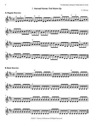 The Blackberry Blossom Fiddle Book - Harvey - Violin - Book