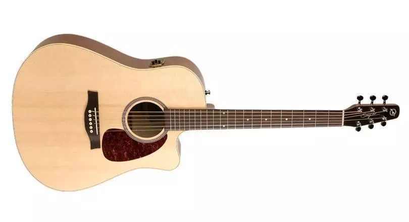 Entourage Natural Spruce Acoustic/Electric Guitar