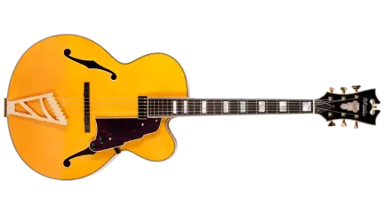 EXL-1 Archtop Hollow Body Electric Guitar - Natural