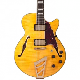 Single Cut Semi-Hollow Electric Guitar - Natural