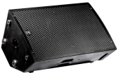 Parasource 4400 Watt Peak 12-Inch+Horn Active PA Cabinet