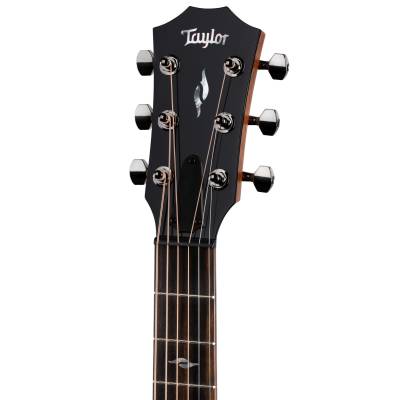 GT 811e Rosewood/Spruce Acoustic-Electric Guitar w/Case