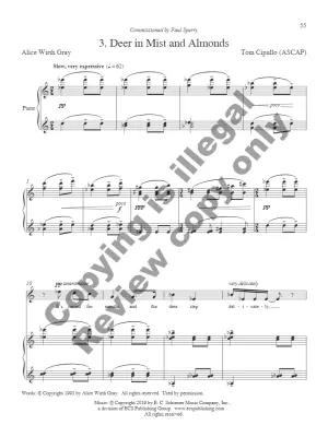 Songs for Soprano, Volume 2 - Cipullo - Soprano/Piano - Book