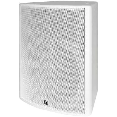 Coliseum Series Installation Loudspeaker - 15 inch/2 inch- 300 Watts - White