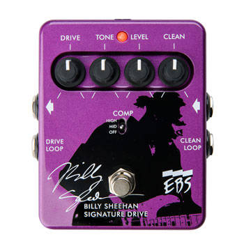 Billy Sheehan Sign Drive Pedal